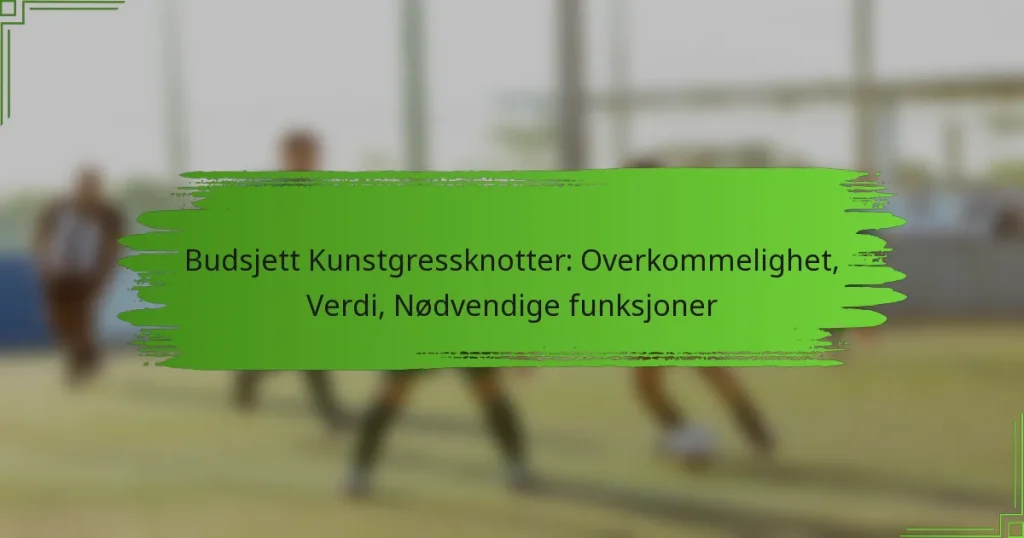 Budsjett Kunstgressknotter: Overkommelighet, Verdi, Nødvendige funksjoner
