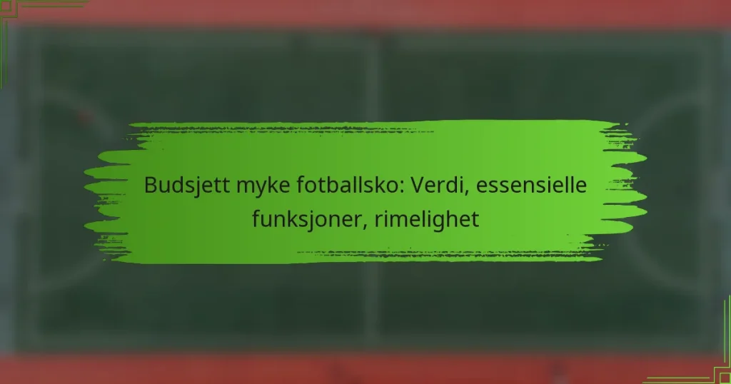 Budsjett myke fotballsko: Verdi, essensielle funksjoner, rimelighet
