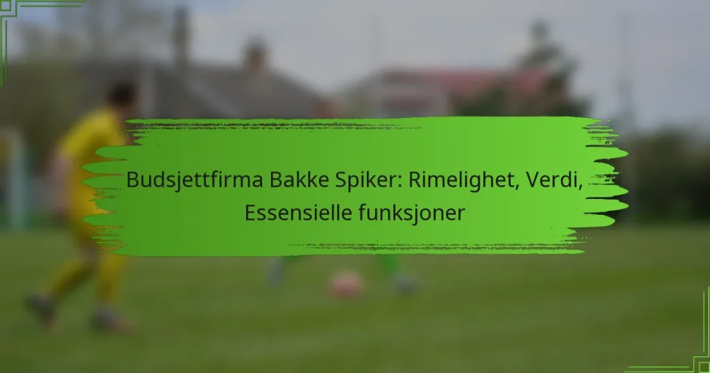 Budsjettfirma Bakke Spiker: Rimelighet, Verdi, Essensielle funksjoner