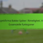 Budsjettfirma Bakke Spiker: Rimelighet, Verdi, Essensielle funksjoner