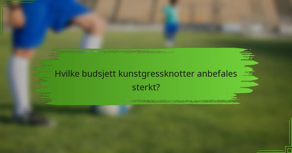 Hvilke budsjett kunstgressknotter anbefales sterkt?