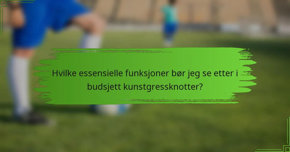 Hvilke essensielle funksjoner bør jeg se etter i budsjett kunstgressknotter?