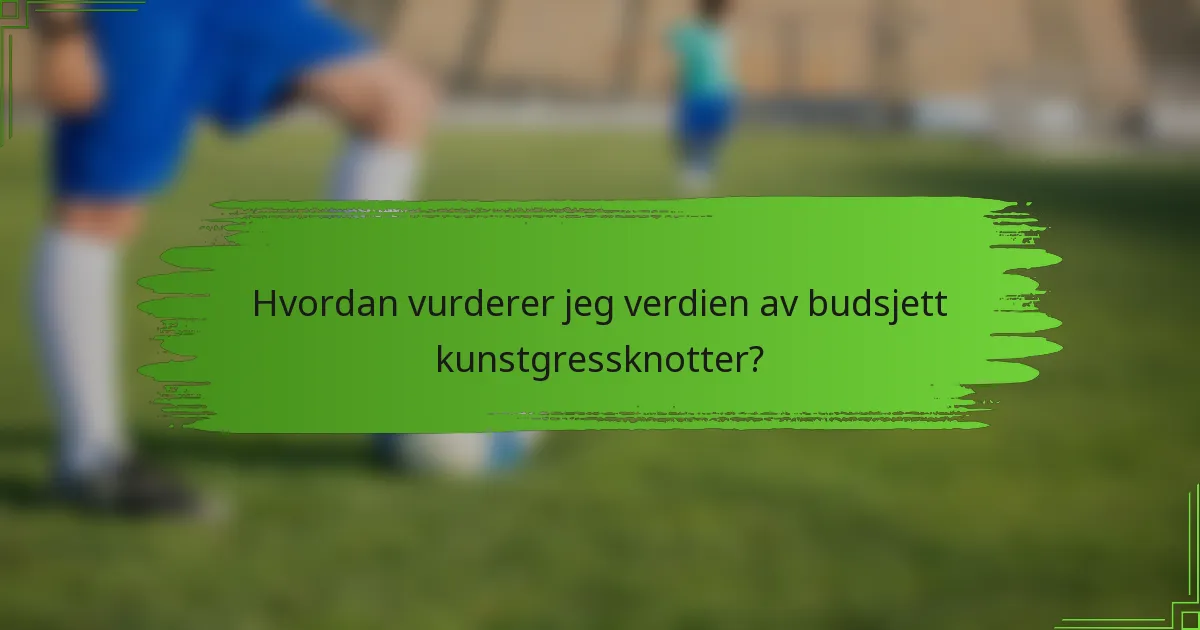 Hvordan vurderer jeg verdien av budsjett kunstgressknotter?