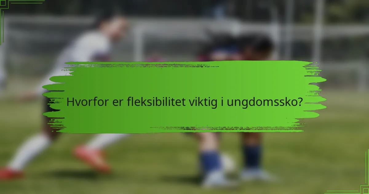 Hvorfor er fleksibilitet viktig i ungdomssko?